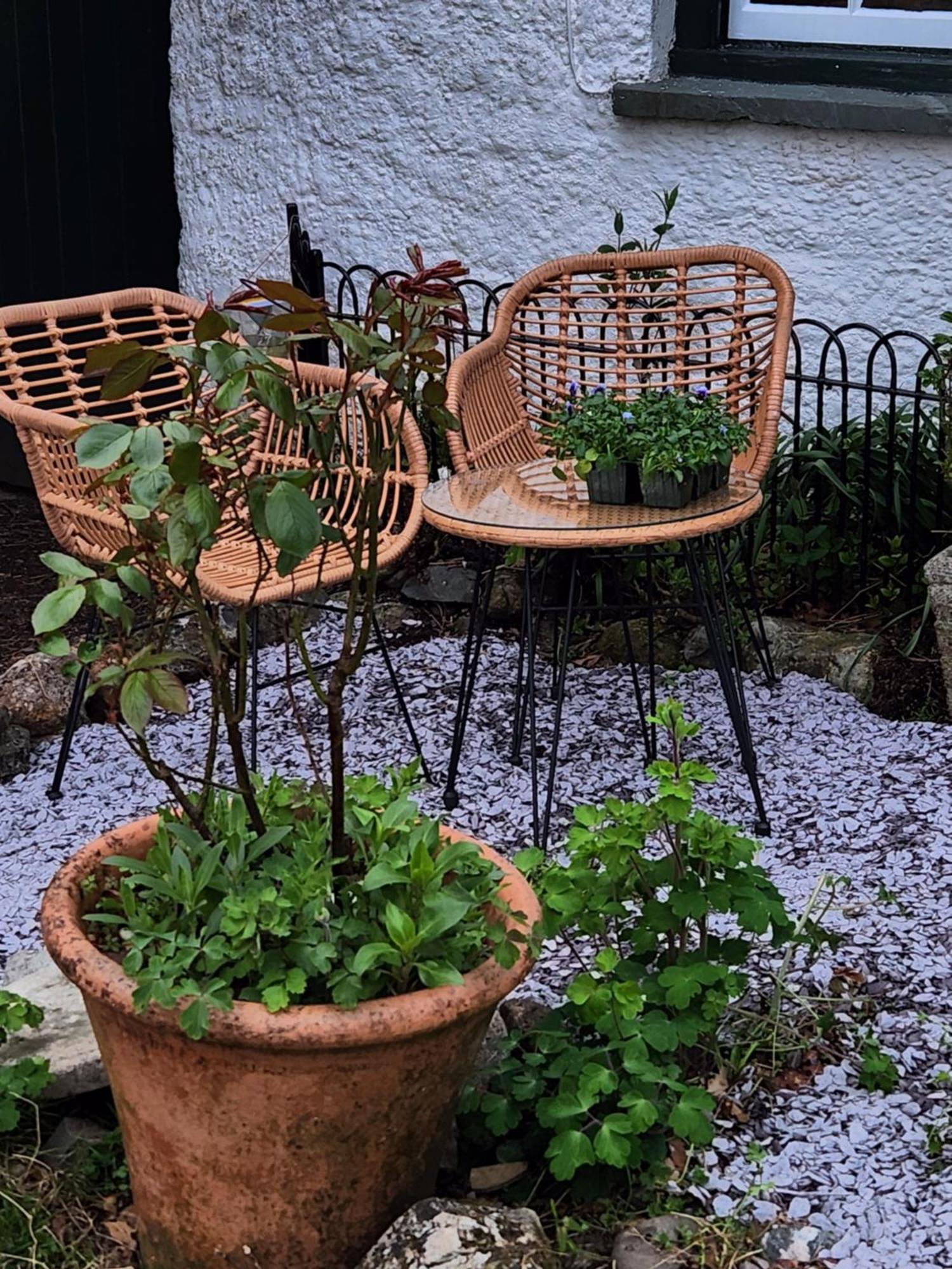 Blea Tarn Farmhouse B&B Ембълсайд Екстериор снимка